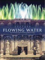 Poster de la película Flowing Water