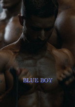 Poster de la película Blue Boy