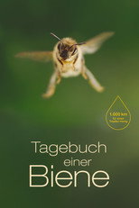 Poster de la película Diary of a Bee