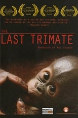 Poster de la película The Last Trimate