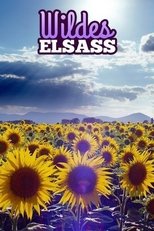 Poster de la película Wildes Elsass