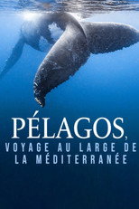 Poster de la película Pélagos, voyage au large de la Méditerranée