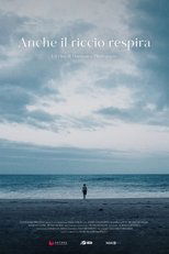 Poster de la película Anche il riccio respira
