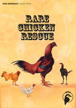 Poster de la película Rare Chicken Rescue
