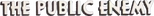 Logo The Public Enemy