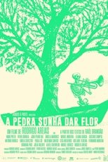 Poster de la película A Pedra Sonha Dar Flor