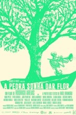 Poster de la película A pedra sonha dar flor