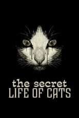 Poster de la película The Secret Life of Cats