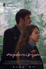 Poster de la película Imaginary Numbers