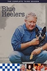 Blue Heelers