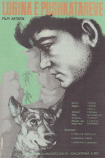 Poster de la película Valley of the Riflemen