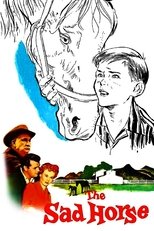 Poster de la película The Sad Horse