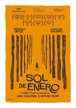 Poster de la película January Sun