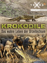 Poster de la película Crocodiles - The Private Life of Primeaval Reptiles
