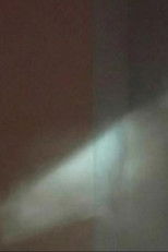 Poster de la película Shadow