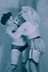 Poster de la película Negligee Fight