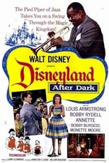 Poster de la película Disneyland After Dark