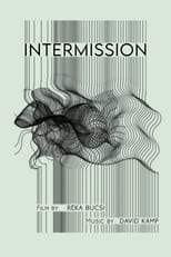 Poster de la película Intermission