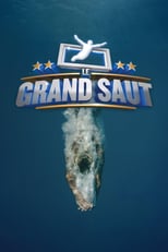 Poster de la serie Le grand saut