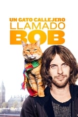 Poster de la película Un gato callejero llamado Bob