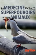 Poster de la película Wild Medicine - The Superpowers of Animals