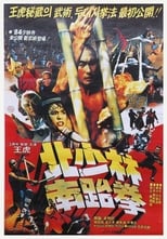 Poster de la película North Shaolin South Taekwon