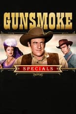 Gunsmoke Police Des Plaines