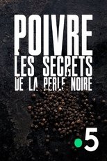 Poster de la película Poivre, les secrets de la perle noire