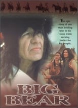 Poster de la película Big Bear