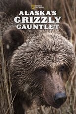 Poster de la serie Alaska's Grizzly Gauntlet