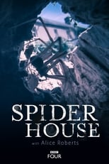 Poster de la película Spider House