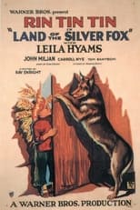 Poster de la película Land of the Silver Fox