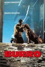 Poster de la película Burro