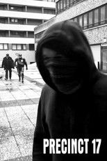 Poster de la película Precinct 17