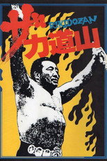 Poster de la película The Rikidōzan