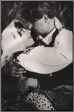Poster de la película Cham