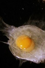 Poster de la película Fried Egg