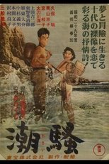 Poster de la película The Surf