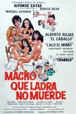 Poster de la película Macho que ladra no muerde