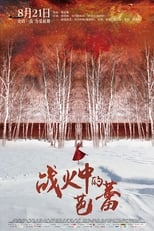 Poster de la película Ballet in the Flames of War