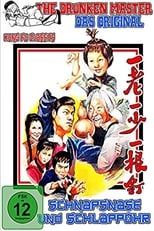 Poster de la película An Old Kung Fu Master