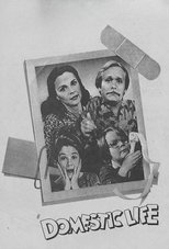 Poster de la serie Domestic Life