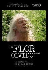 Poster de la película Flower in Oblivion