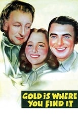 Poster de la película Gold Is Where You Find It
