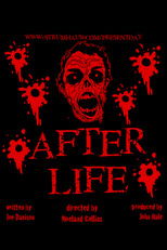Poster de la película Afterlife