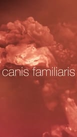 Poster de la película Canis familiaris