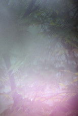 Poster de la película The Window