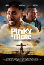 Poster de la película Pinky & Mole
