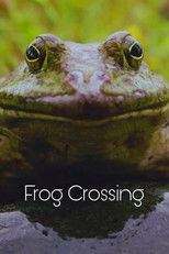 Poster de la película Frog Crossing