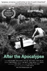 Poster de la película After the Apocalypse